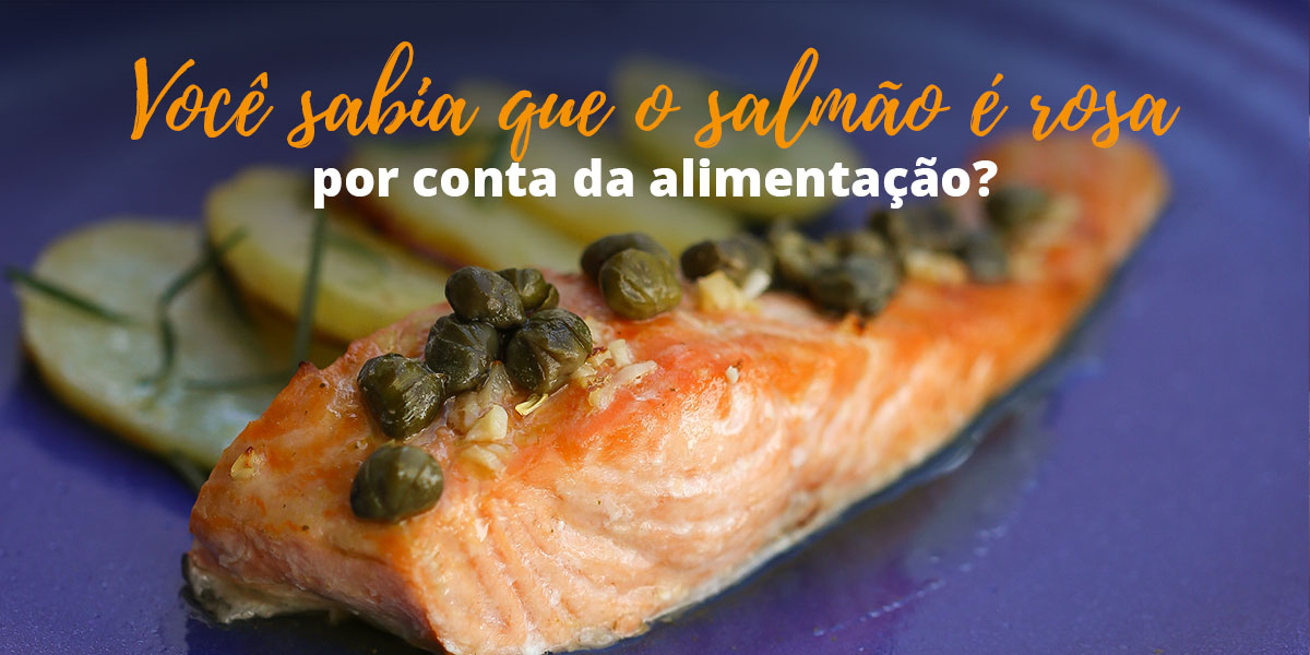 voce-sabia-salmao-rosa
