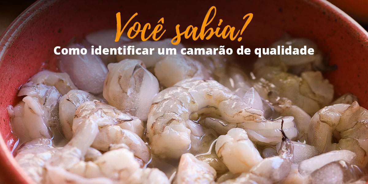 voce-sabia_camarao_de_qualidade