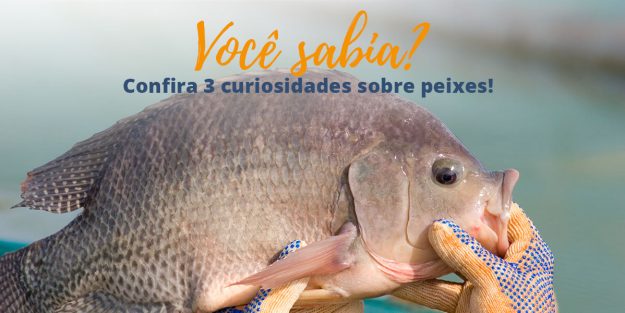 voce-sabia_peixes